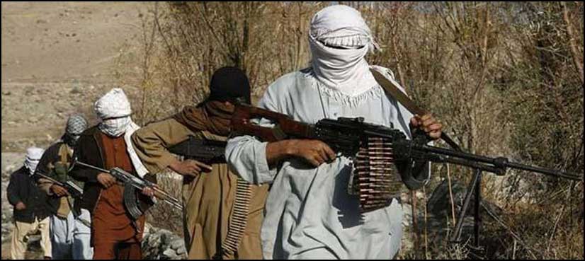 afghan taliban