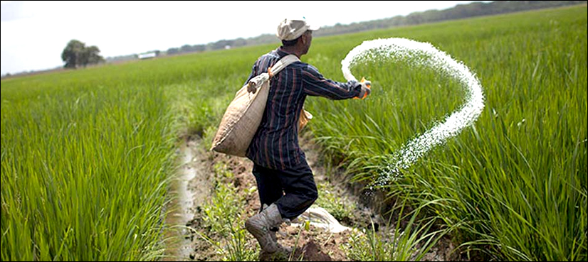 Urea, ECC, China
