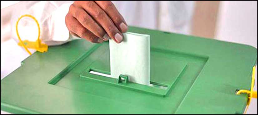 elections 2008