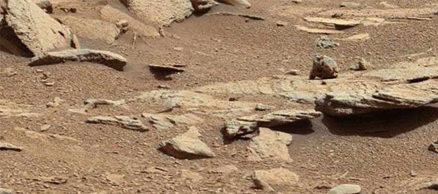 UFO hunters find a groundhog, wall on Mars