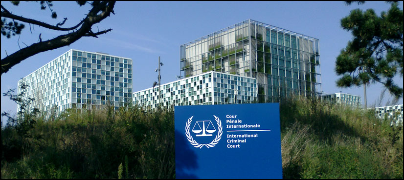 International office, Ukraine war probe, The Hague