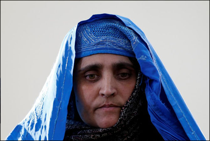 Sharbat Gula Afghan Girl
