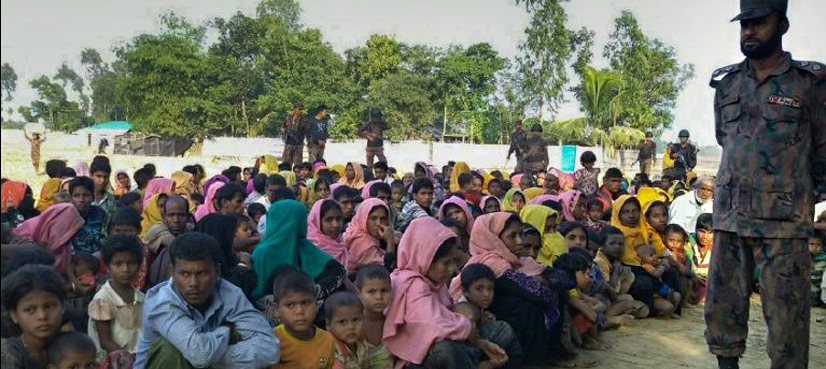 Rohingya