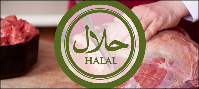 Halal Saudi company