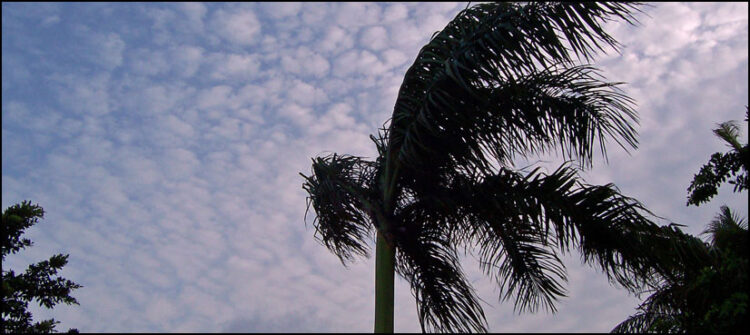 Karachi weather forecast PMD