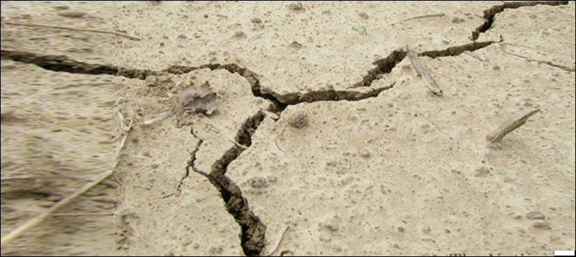 Earthquake