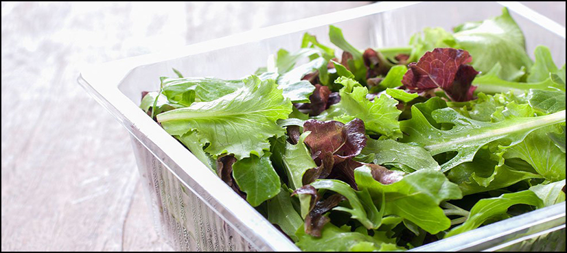 Salad supermarket UK