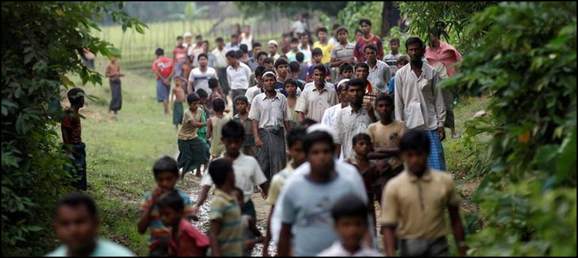rohingya