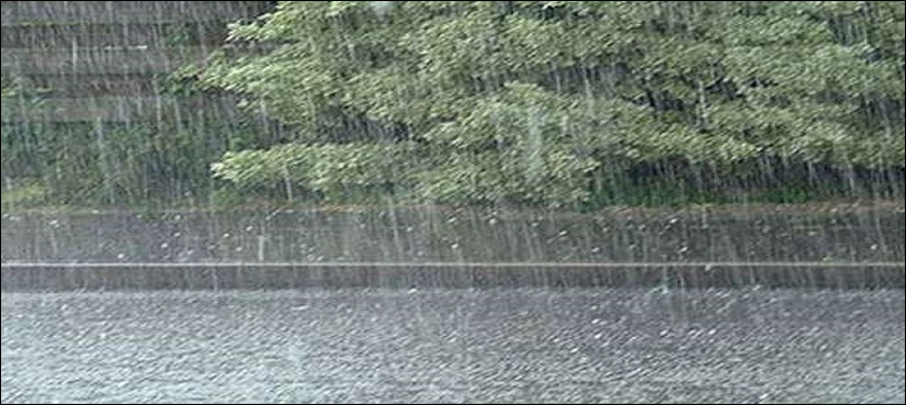 MET office Rainfall