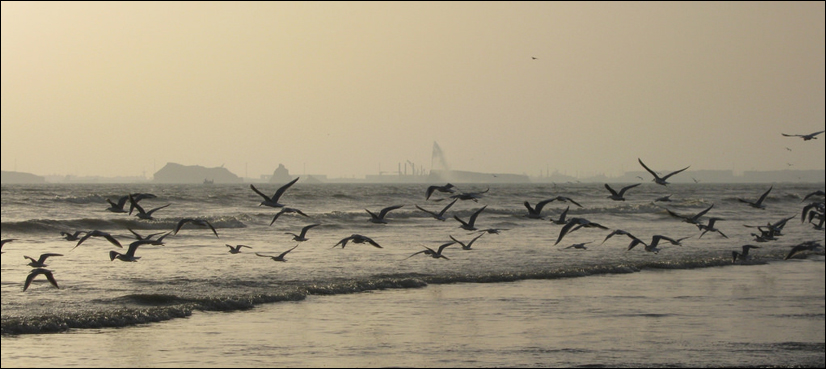swimming pakistan