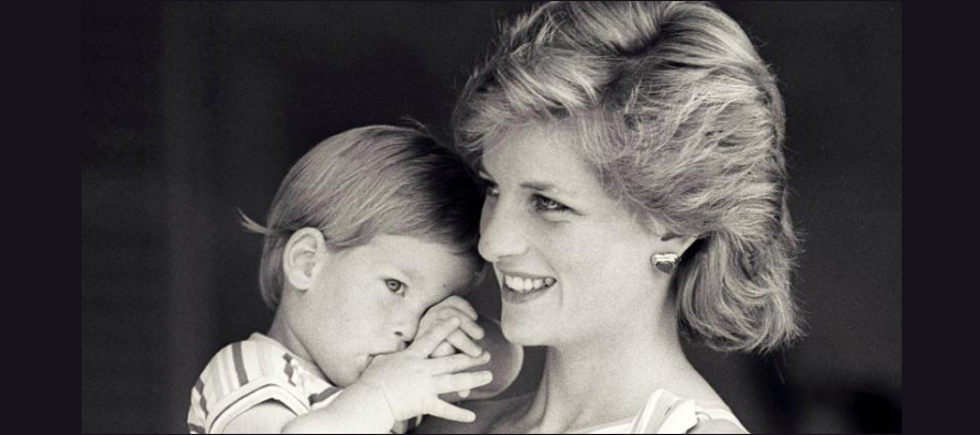 Diana BBC interview