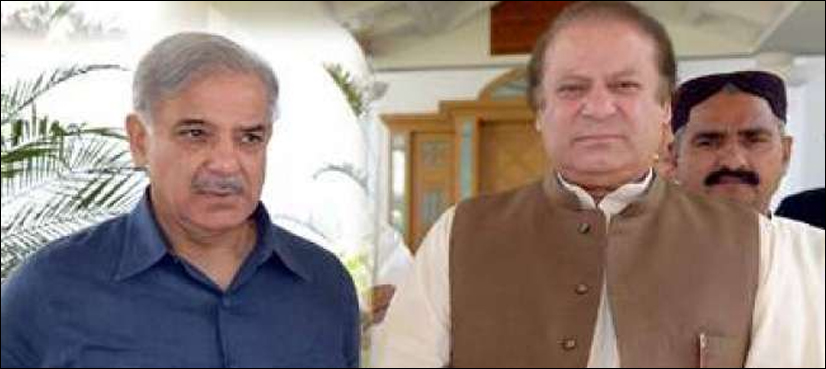 PML-N