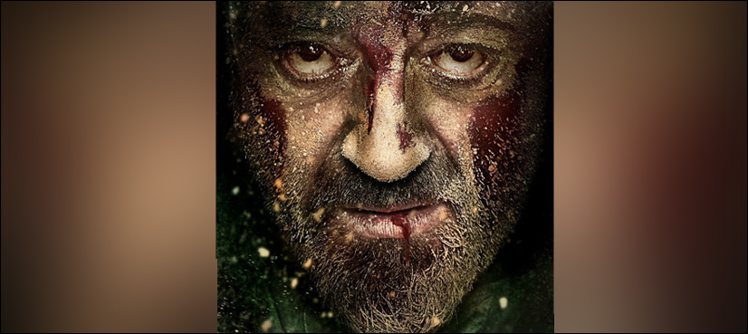 Bhoomi copied poster