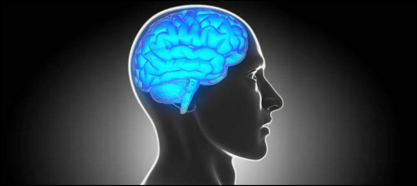 brain COVID-19