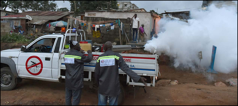 dengue, Islamabad, karachi ,Rawalindi