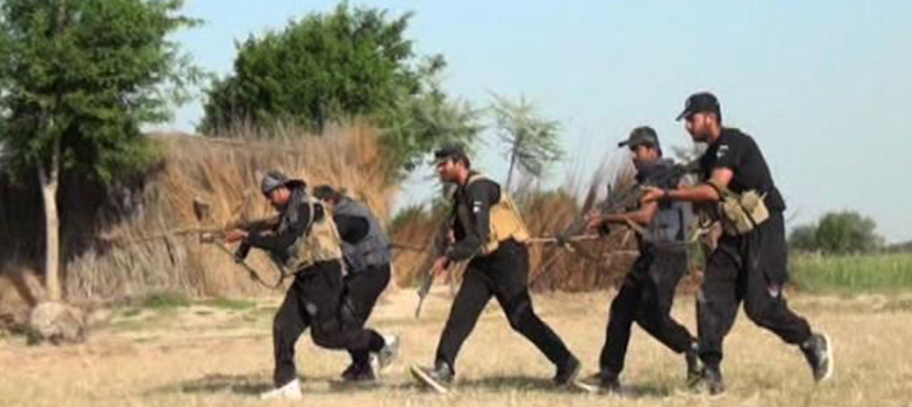 law and order case, arrest tribal chiefs, SHC Sukkur