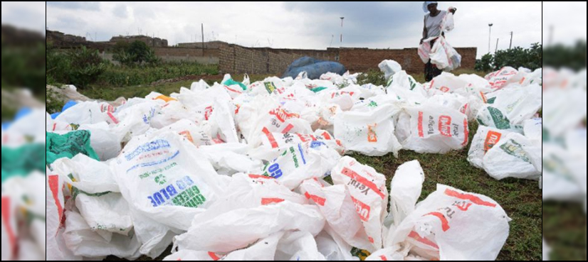plastic bags
