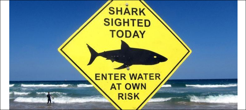 shark detection drones