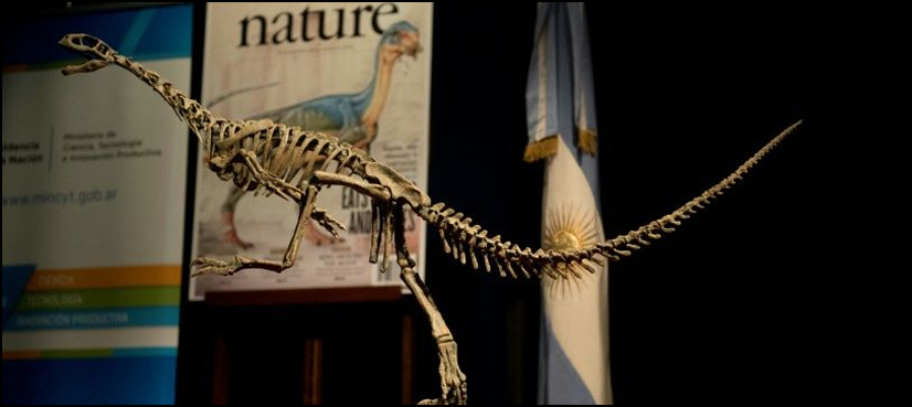 dinosaur
