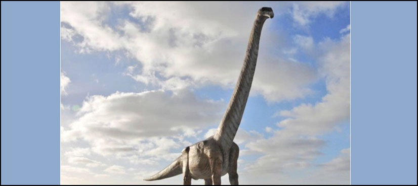 dinosaur