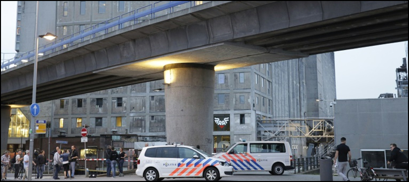 dutch