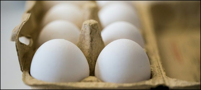 eggs