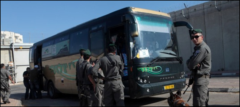 palestinian