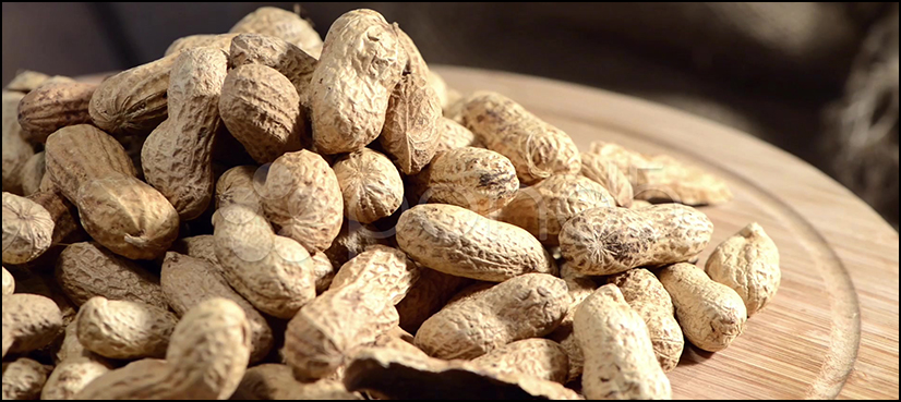 peanut allergy treatment