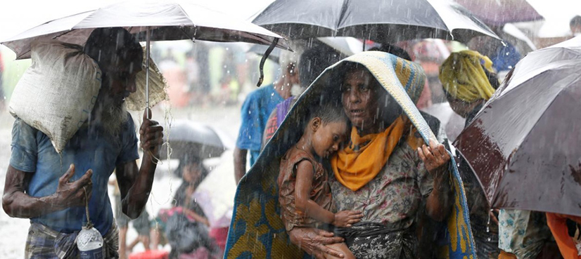Rohingya