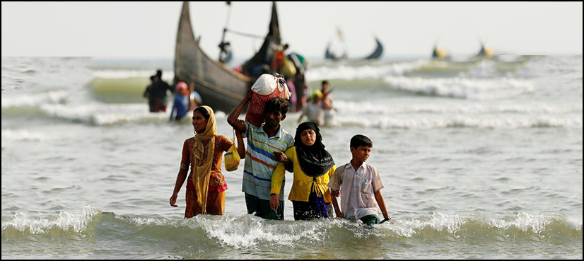 rohingya