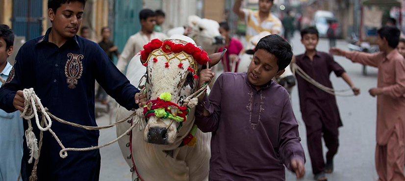 Eid-ul-Azha