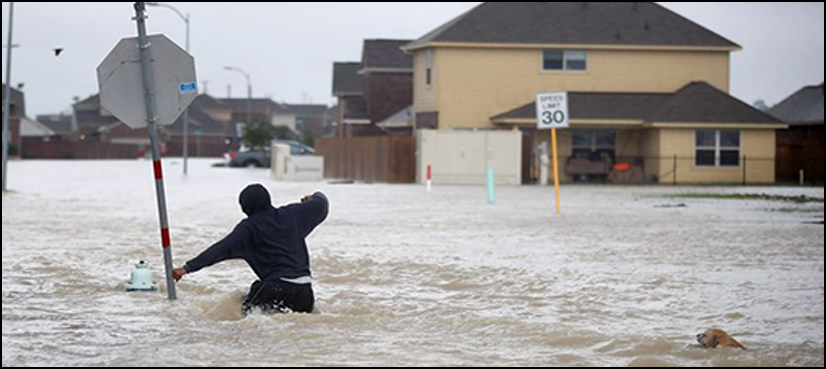 Harvey