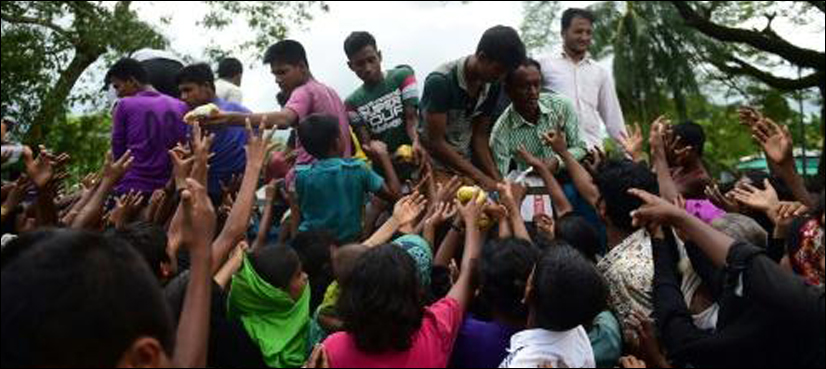 Rohingya