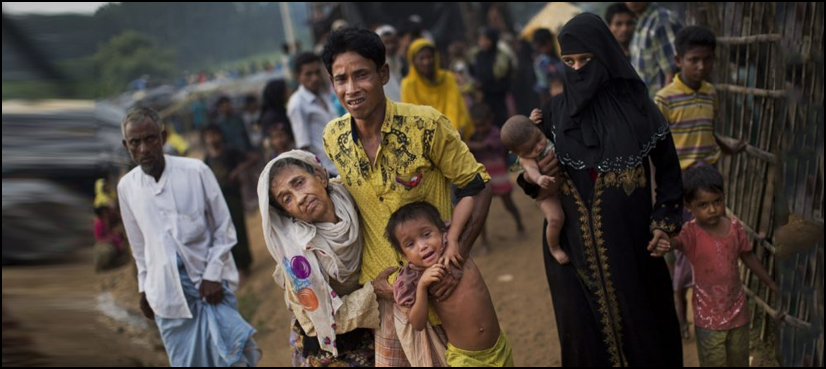 Rohingya