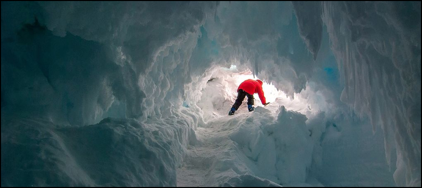 antarctic