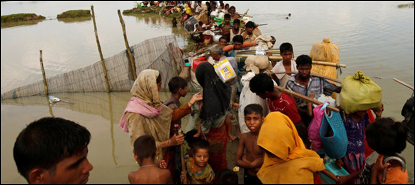Rohingya
