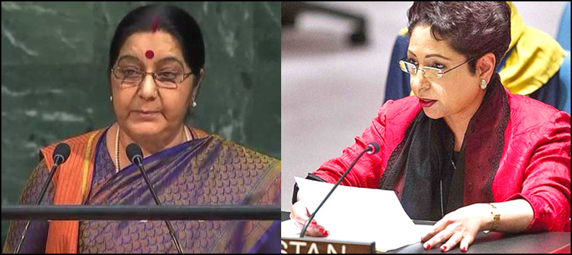 Maleeha Lodhi