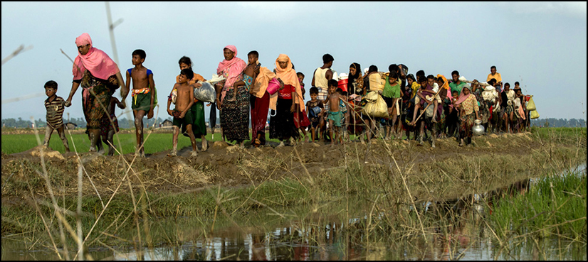Refugees