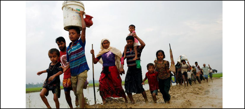 rohingya