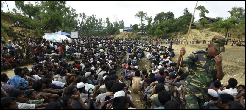rohingya