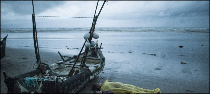 rohingya