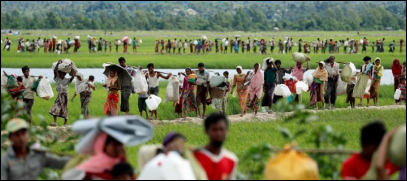 rohingya