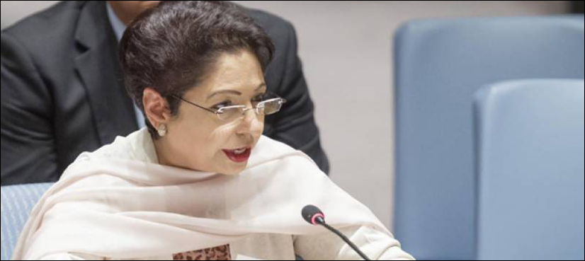 Maleeha Lodhi, United Nations, UN, Religious defamation