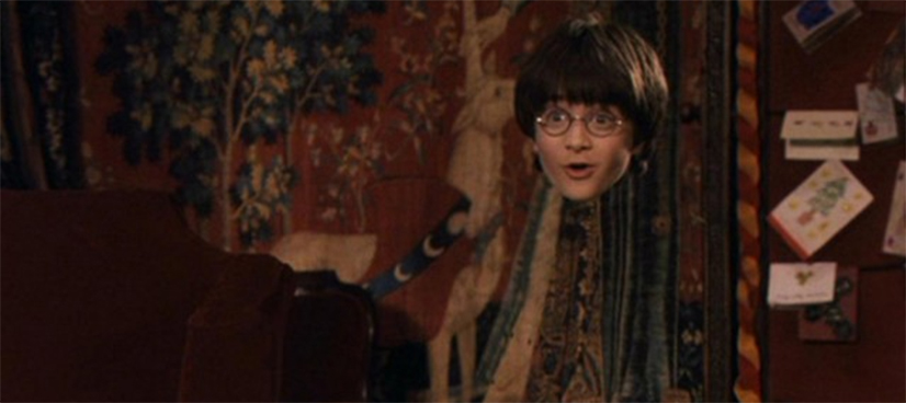 Invisibility Cloak