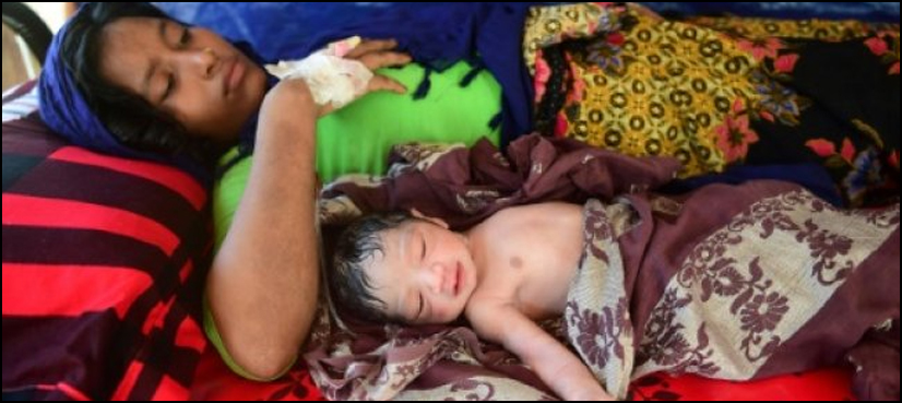 Rohingya