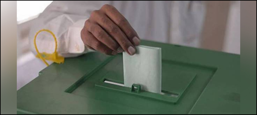 ECP voter lists