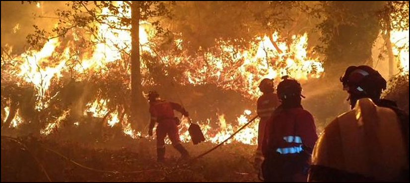 wildfires