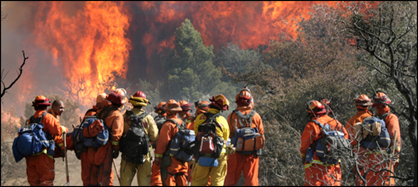 California widfires