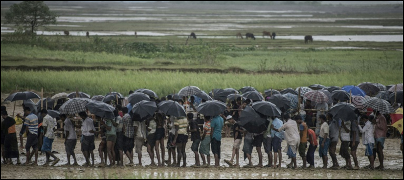 refugee