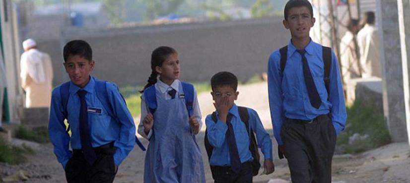 Punjab schools